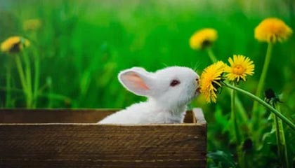 Jiu You-竞技数据分析：精准战术制定时代到来，竞技战术的意义及训练方法