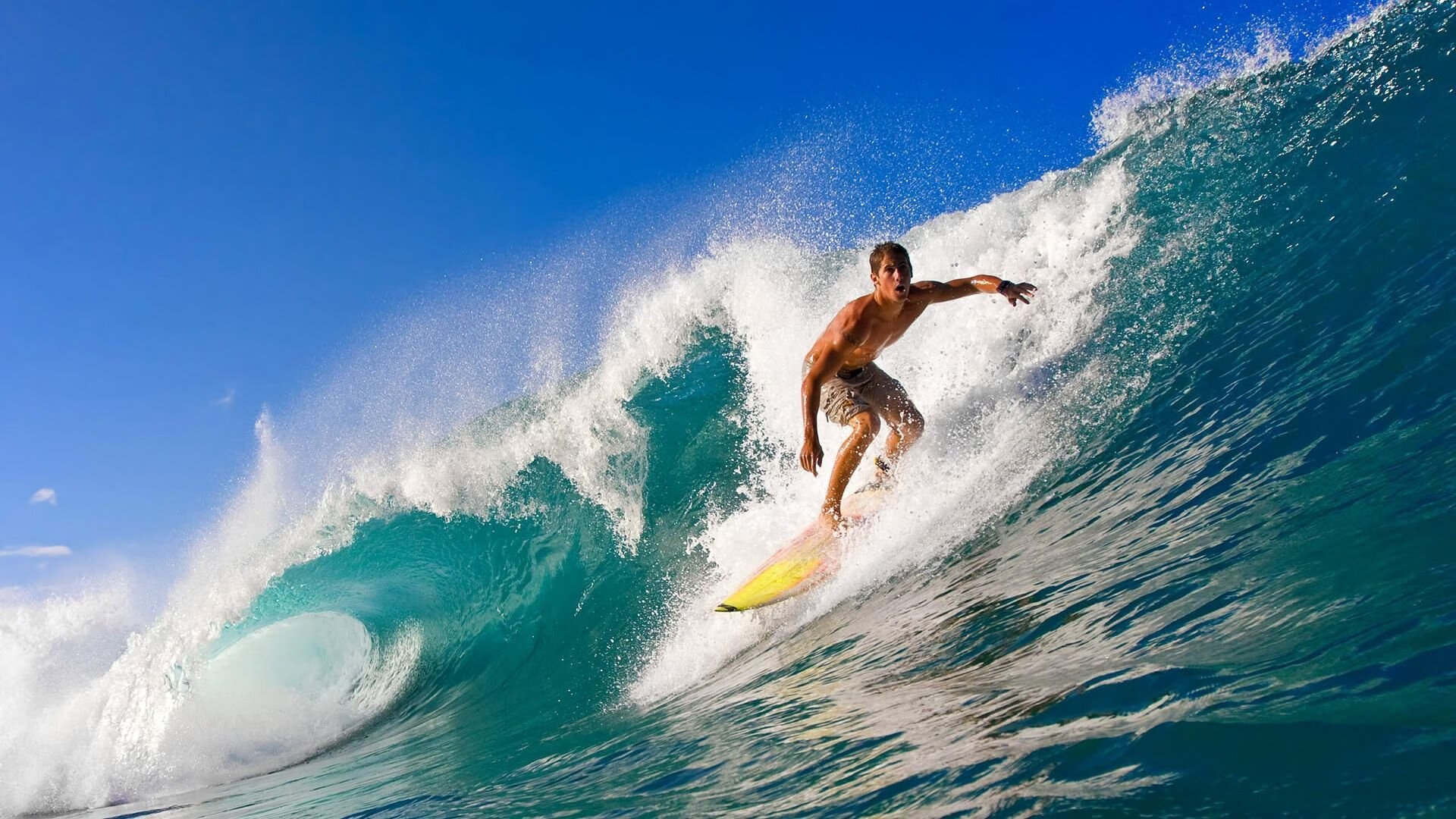 _气候变化影响:比赛场地适应新挑战_,应对气候变化适应项目