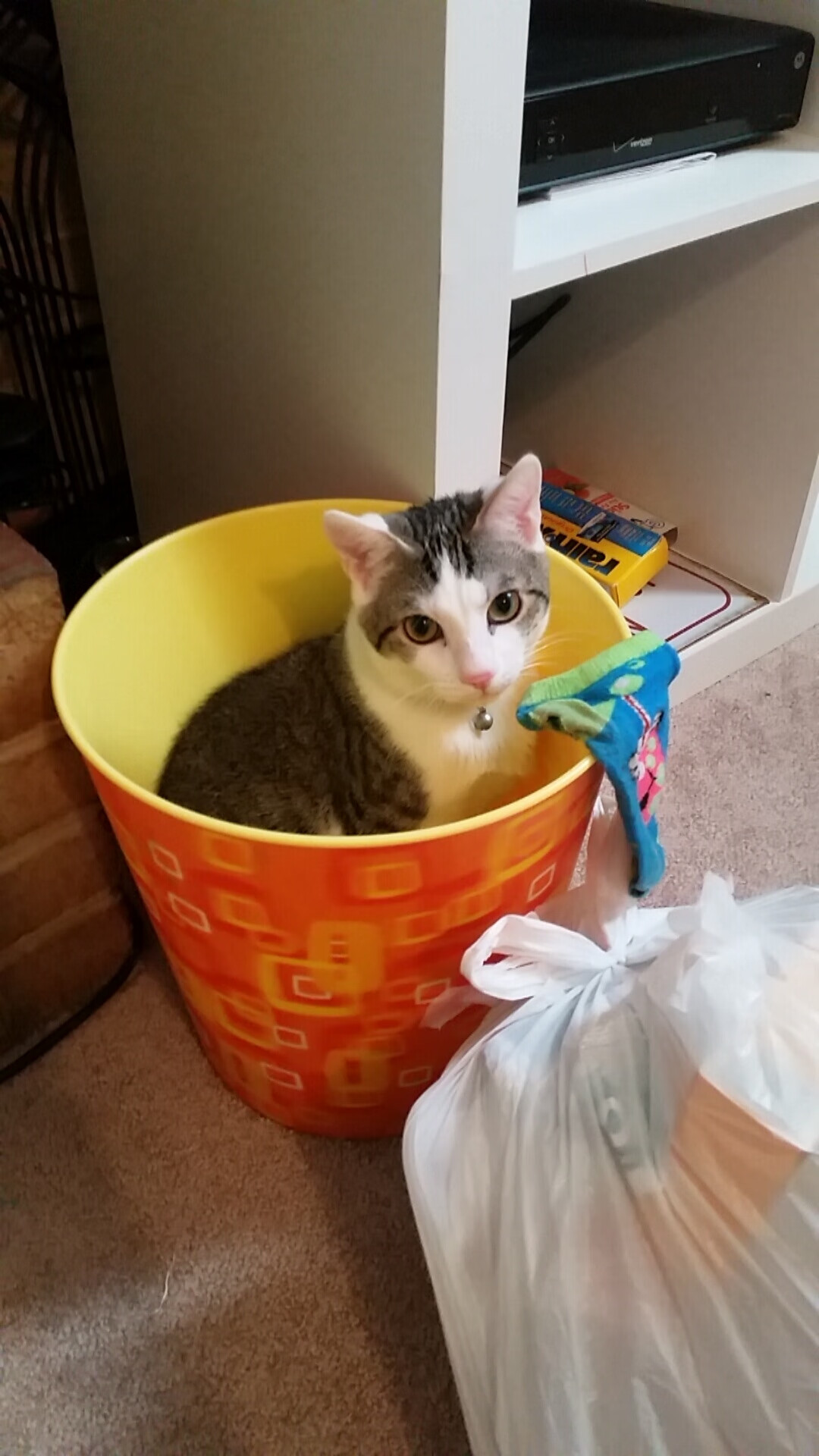 九游9游-_运动员公益活动：回馈社会传递正能量_，运动员慈善