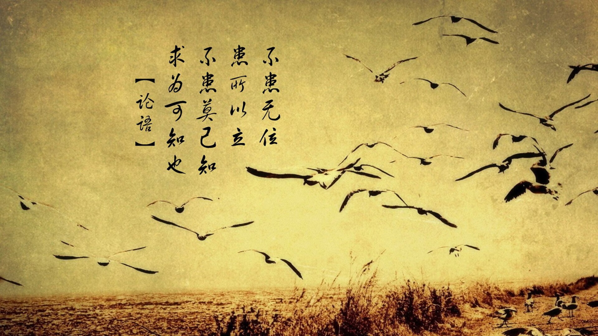 九游娱乐APP-世界马拉松大满贯赛事中国跑者表现抢眼，世界马拉松大满贯赛事有哪些