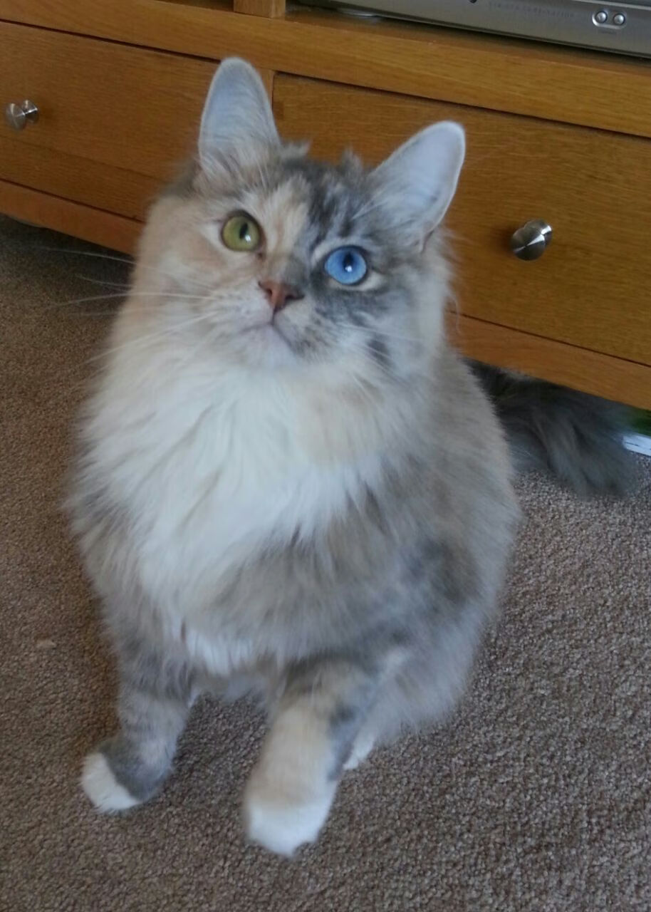 游戏物理引擎的突破:真实感与交互性,游戏物理引擎的突破_真实感与交互性的关系