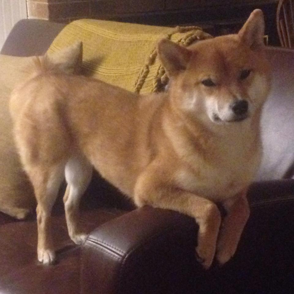 福建队新主场启用，球迷欢聚一堂迎盛事，福建篮球队主场