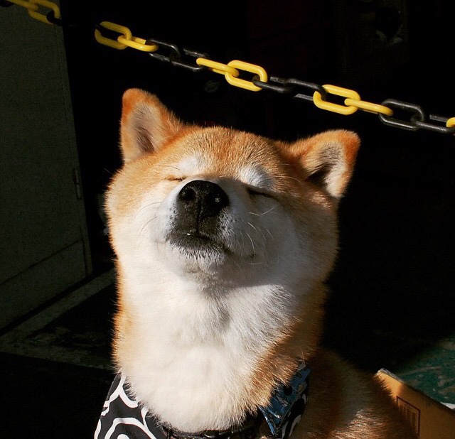 西甲运动员薪酬不断提升,职业保障逐步完善,西甲球队工资排行