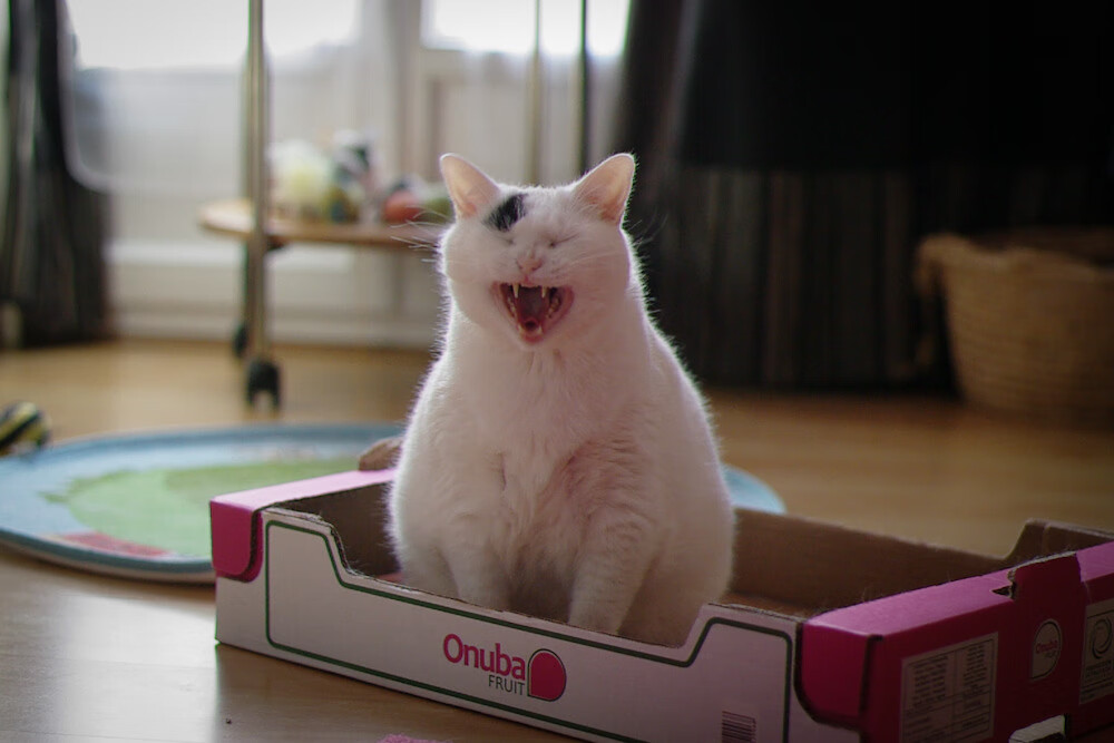 俱乐部动向!球队管理层发布幕后故事,球队管理细则