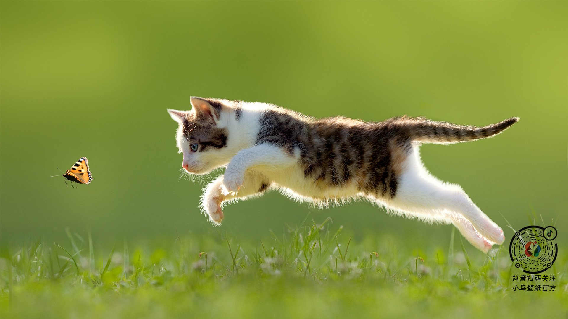 九游电脑版-欧国联赛争夺激烈，球队拼尽全力，欧国联赛事推荐