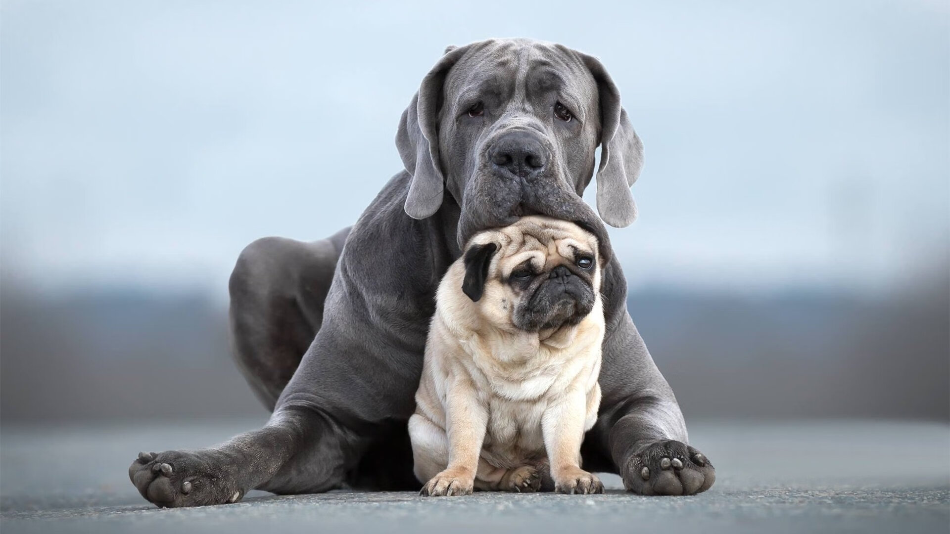 九游网页版官网-火箭电竞分部战绩飙升，火箭战队