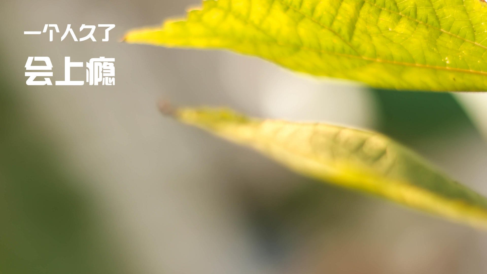 激烈竞技让人心跳加速,球员们在场上展现实力,竞技的话