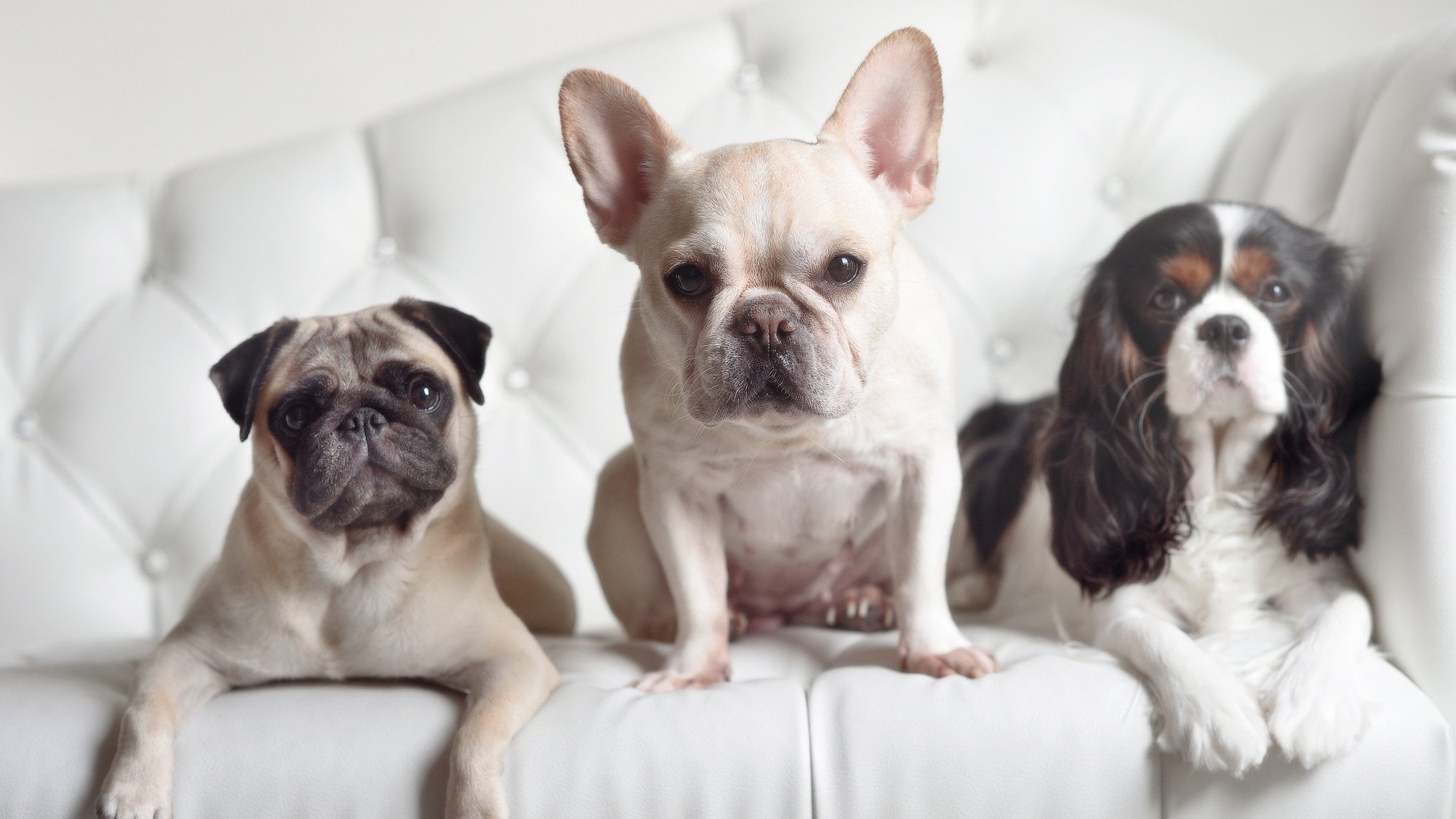 九游（jiuyou.com）游戏-学校体育资源调度平台建设与课表联动机制设计，学校体育课程资源开发与利用