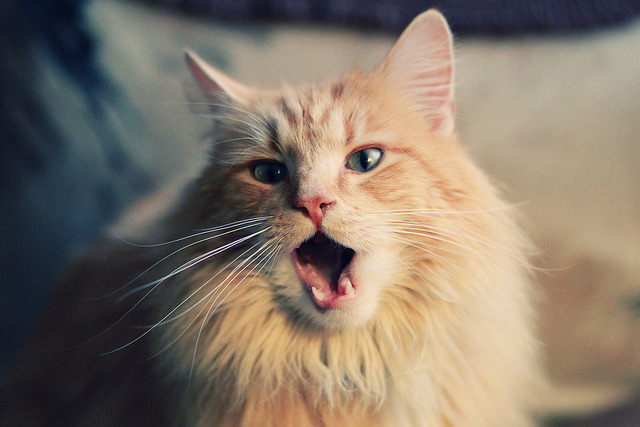 九游娱乐(jiuyou)官方网站-CBA球队联合举办篮球市集活动打造球迷线下社交空间，cba球队列表